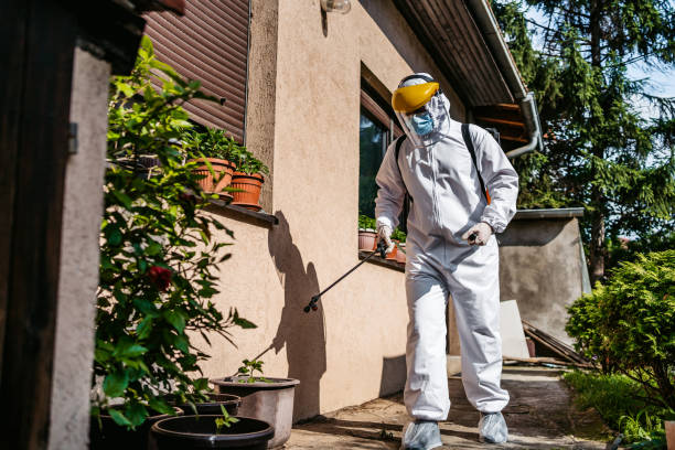 Best Spider Control Near Me  in South Pottstown, PA