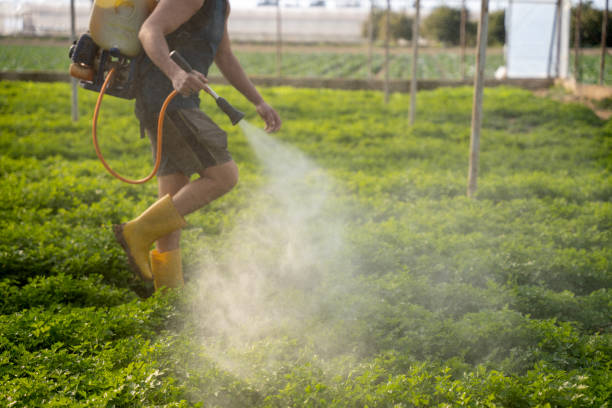Best Affordable Pest Control Services  in South Pottstown, PA