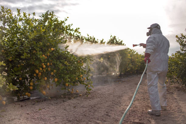 Best Commercial Pest Control Services  in South Pottstown, PA