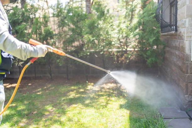 Best Termite Control Services  in South Pottstown, PA