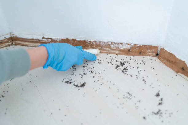 Professional Pest Control in South Pottstown, PA